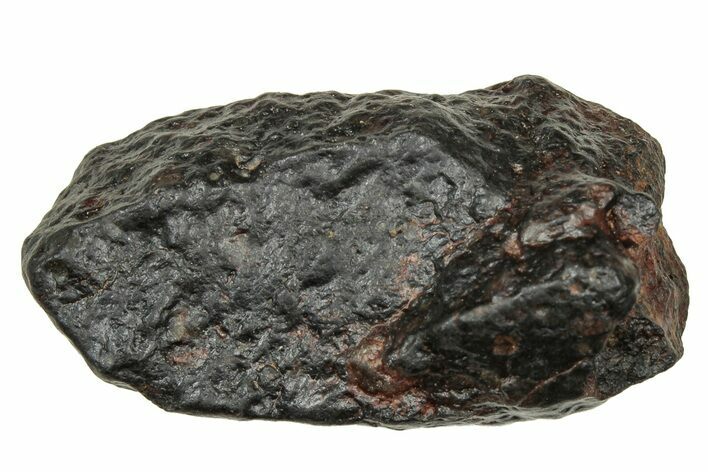 Carbonaceous Chondrite Meteorite ( g) - NWA #334343